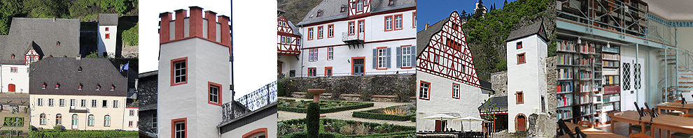 L’Institut - L’Institut Européen des Châteaux Forts organisation affiliée à l’Association allemande des châteaux forts