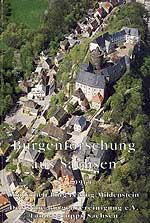 Burgenforschung aus Sachsen, Band 8