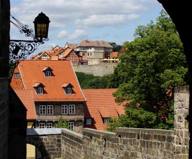 Blick auf den Mnzenberg